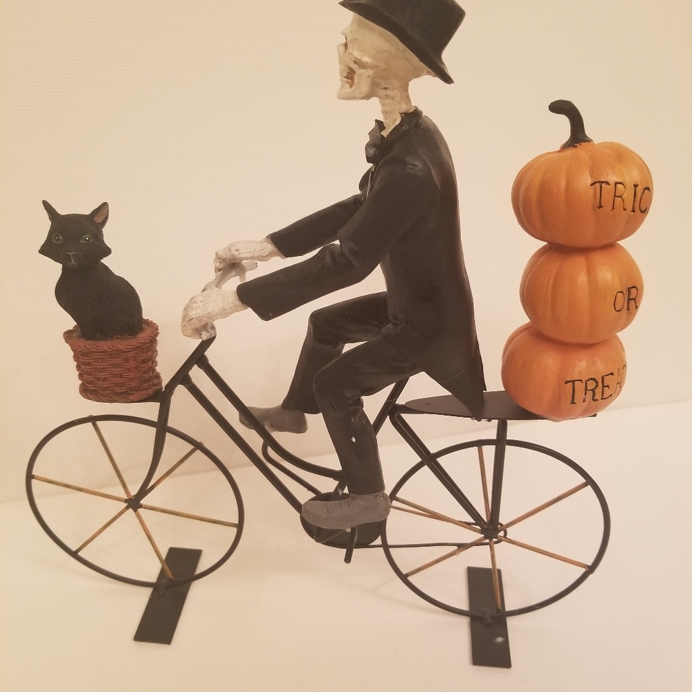 New Skeleton Riding Bicycle with Cat